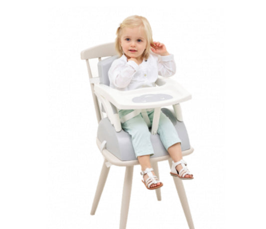 SEGGIOLONE 2IN1 EVOLUTIVO