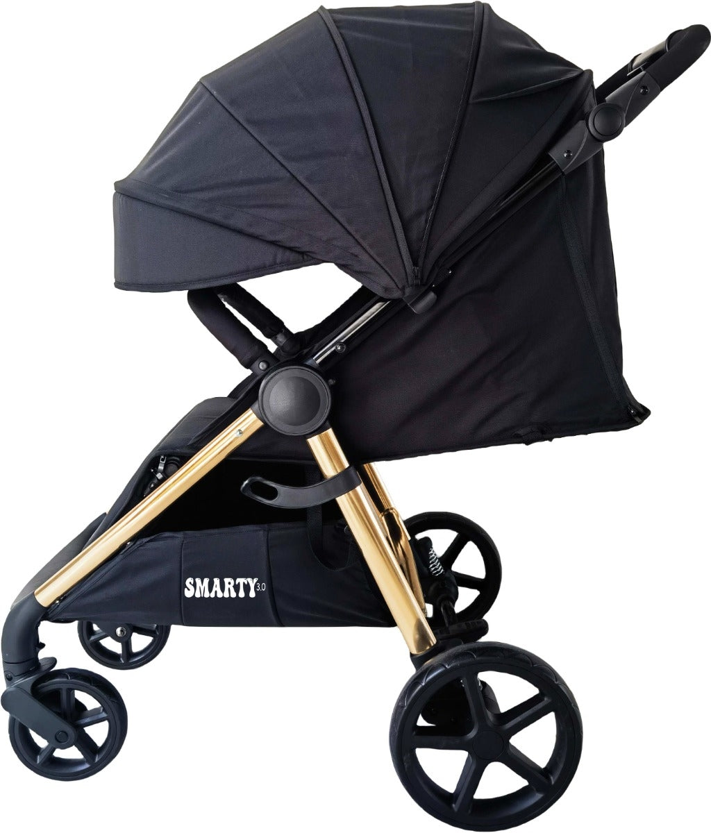 Passeggino Smarty 3.0 Leonie